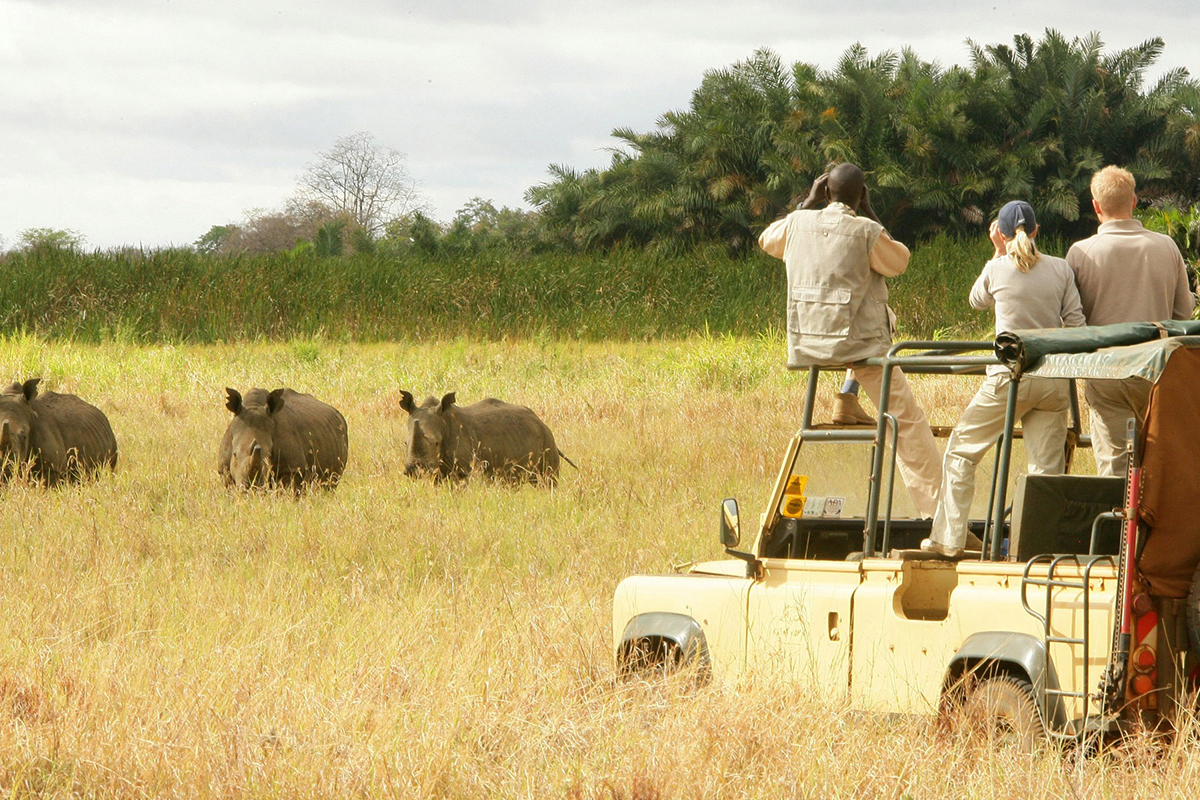 8 DAYS KENYA TANZANIA SAFARI