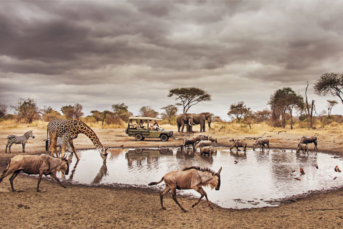 5 DAYS SAFARI (SERENGETI, NGORONGORO CRATER AND TARANGIRE NATIONAL PARK) GROUP JOINING